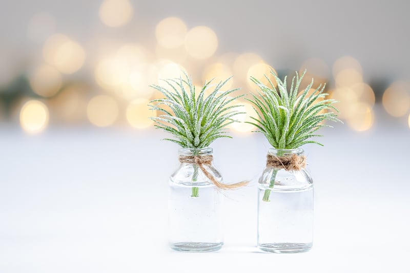 Enchanting Fairy Lights